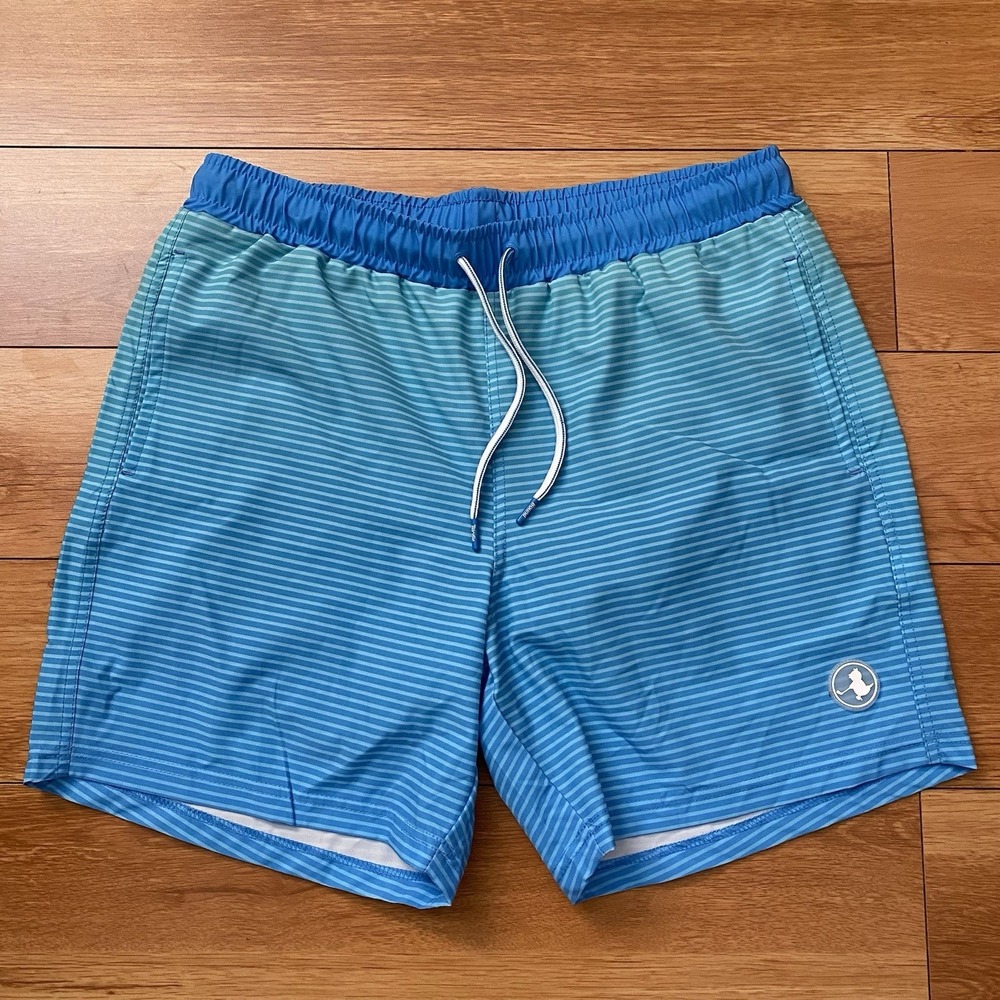 Birdie Bound Mens Pool Blue Stripe 2-In-1 Liner Swim Trunks Medium